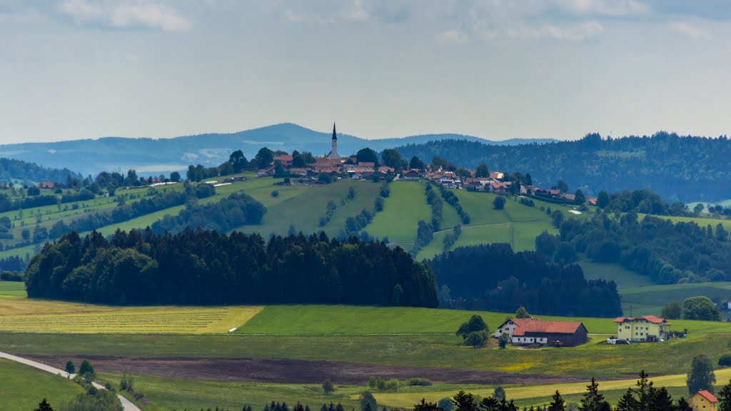 Ausblick vom Aussichtsturm am Baumwipfelpfad by moatlspeed