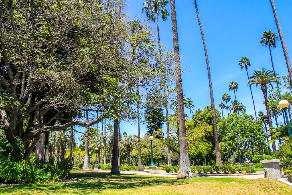 Will Rogers Memorial Park, Beverly Hills, California by Michael Jiroch