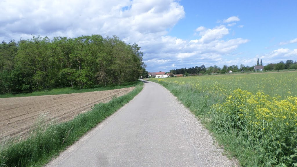 Réguisheim, França, 2015 by Predador