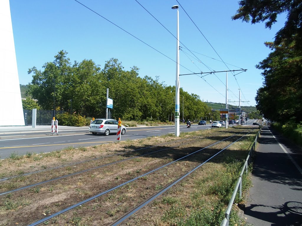 Luitpoldstraße in Würzburg by DK G