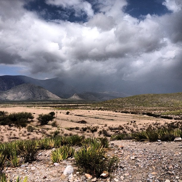 Lerdo, Durango, Mexico by Daniel RG