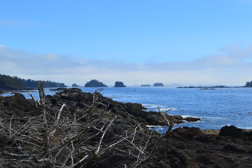 Ucluelet [08/2015] by Seref Efe