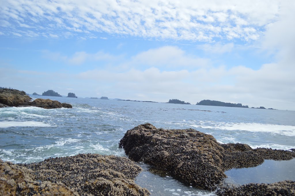 Ucluelet [08/2015] by Seref Efe