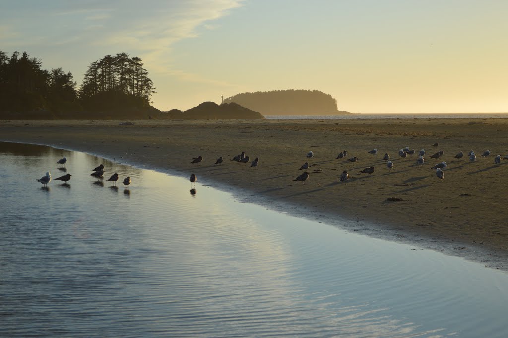 Tofino [08/2015] by Seref Efe