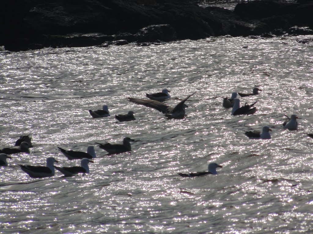 Punta Carretas - Montevideo - Uruguai by Elton Silveira