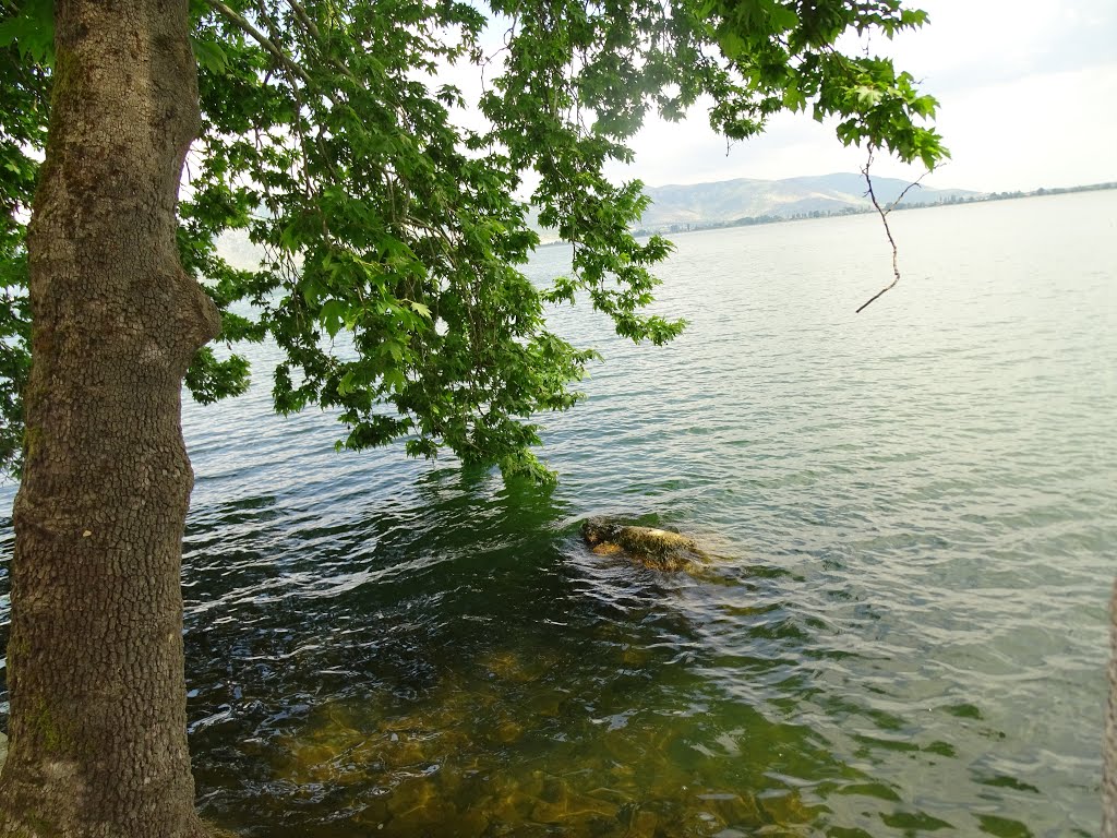 Kastoria lake, Greece. by jo mor