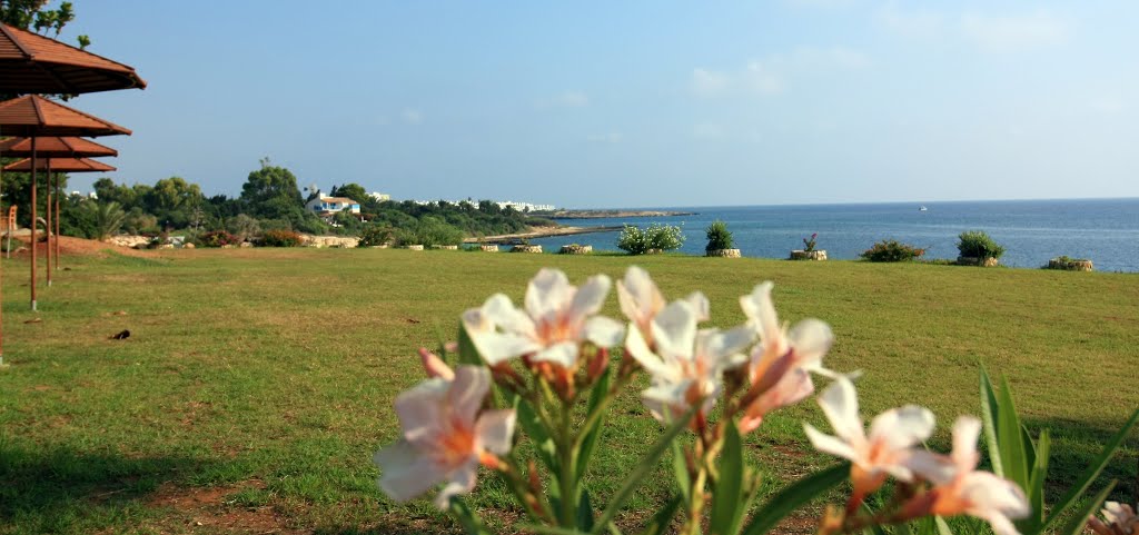 Protaras, Cyprus by Alyosha