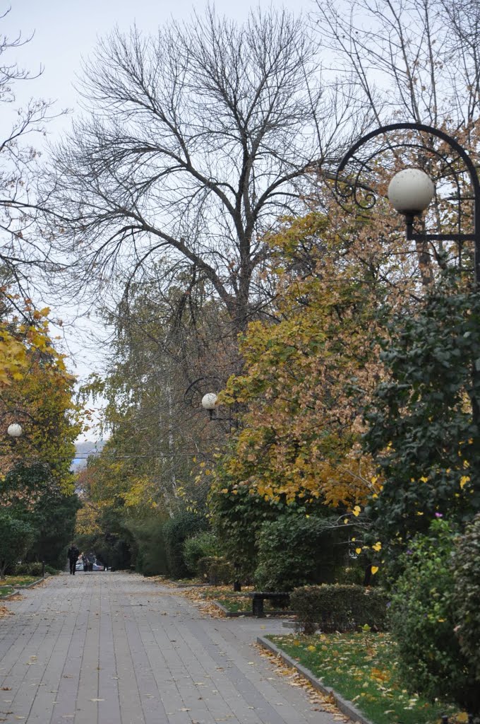 Autumn. Pushkin str. Rostov-on-Don / Осень, ул. Пушкинская, Ростов-на-Дону by Valentine Verchenko