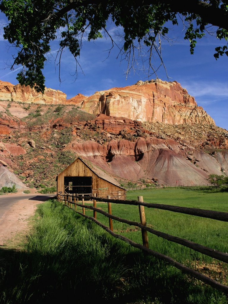 Capitol Reef, Utah by CD Photo