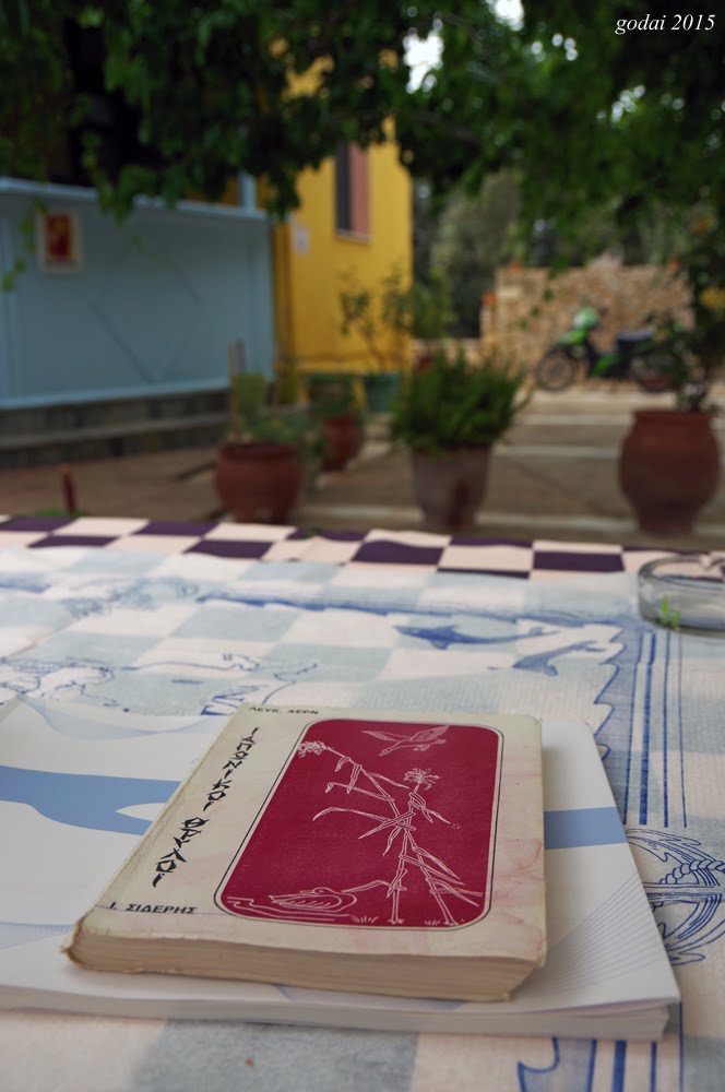 Lefkada Athani, favorite taverna Avra and Xern 2015 by Godai (no read a com…