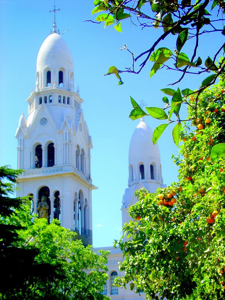 Provincia de Buenos Aires - Tandil - Parroquia Santísimo Sacramento - Iglesia Catedral - ecm by eliseo c. martínez