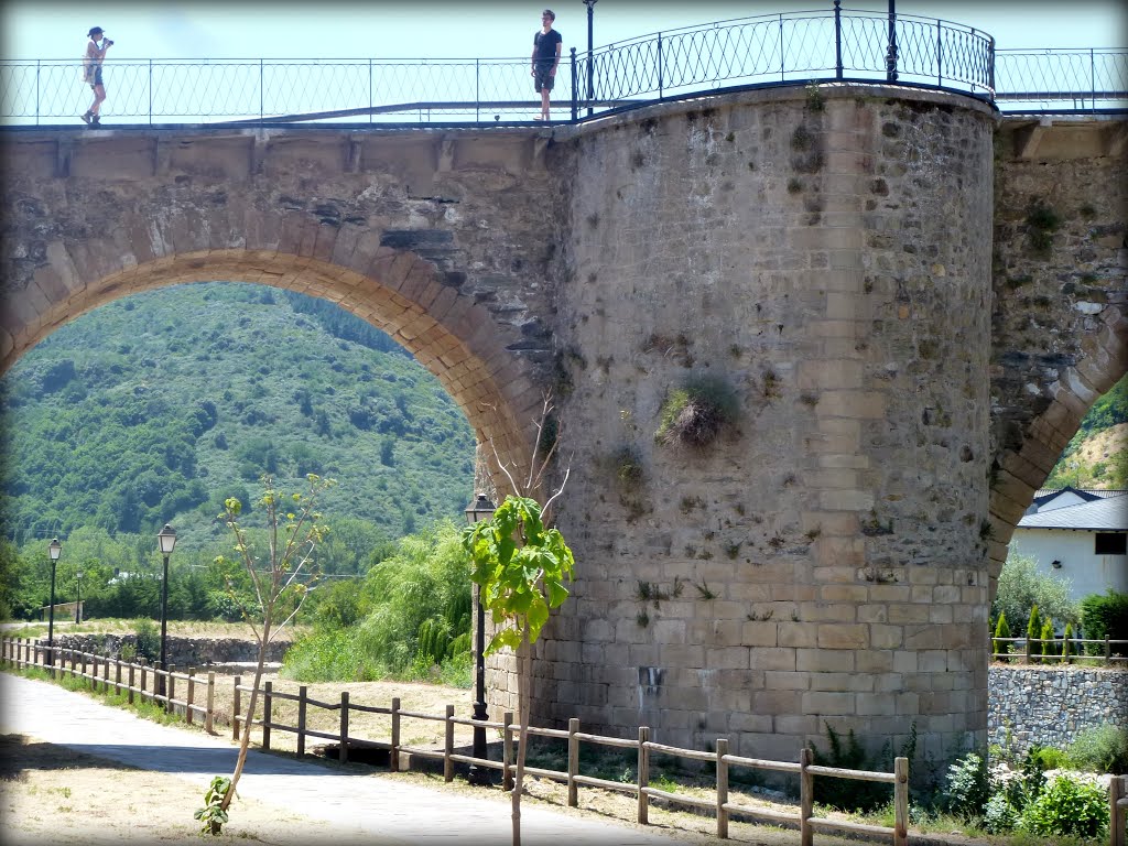 PUENTE SOBRE EL RÍO BURBÍA. VILLAFRANCA DEL BIERZO. LEÓN. SPAIN. by carlos cuerda damas