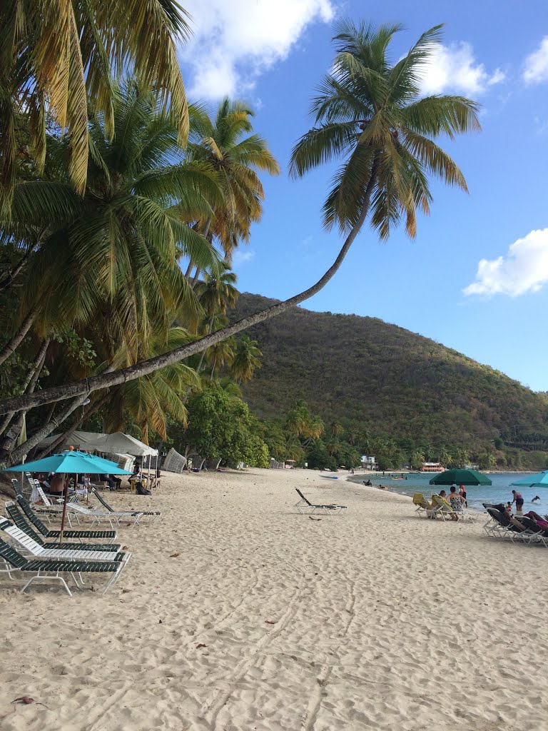 Tortola, British Virgin Islands by Charles Weber