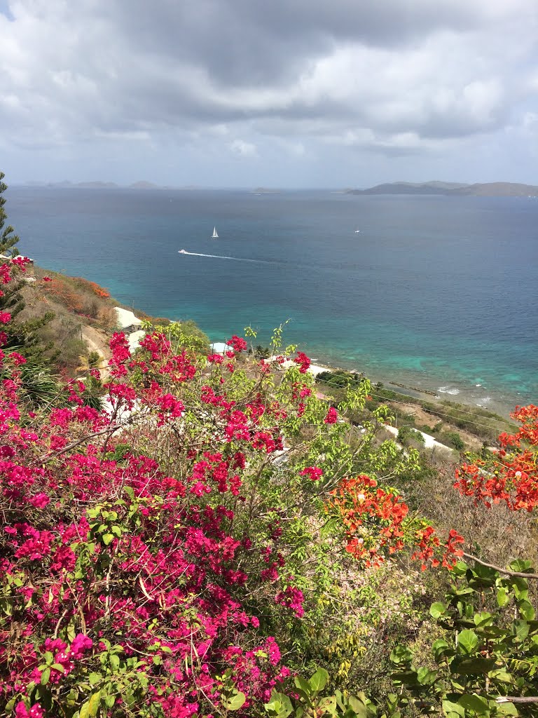 Rte 1, British Virgin Islands by Charles Weber