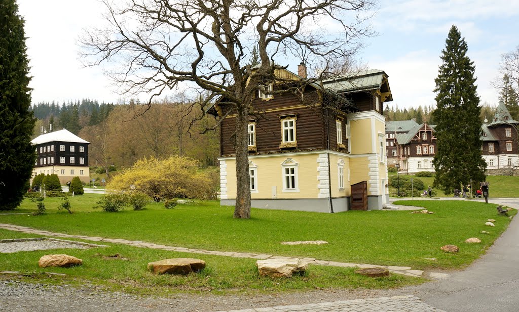 Karlova Studánka, Czech Republic by Mila Rosen