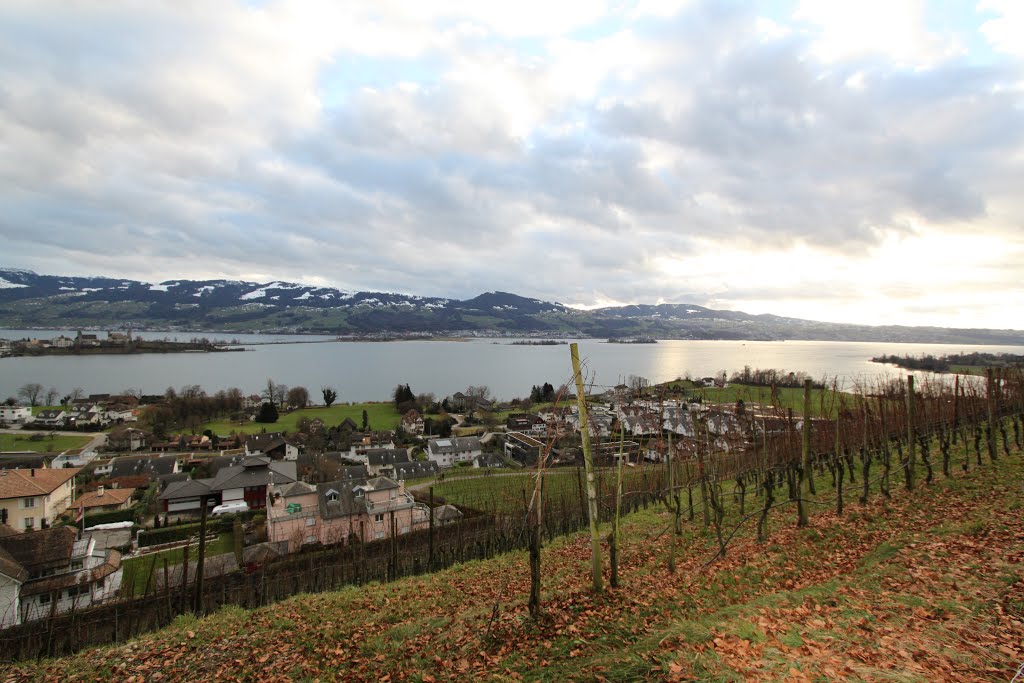 Rapperswil-Jona, Switzerland by Kellenberger Daniel