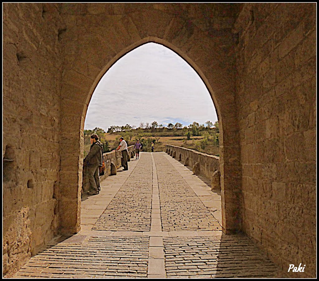 <<Puente de Puente la Reina>> <<Bridge in Puente La Reina>> by Pasapa.