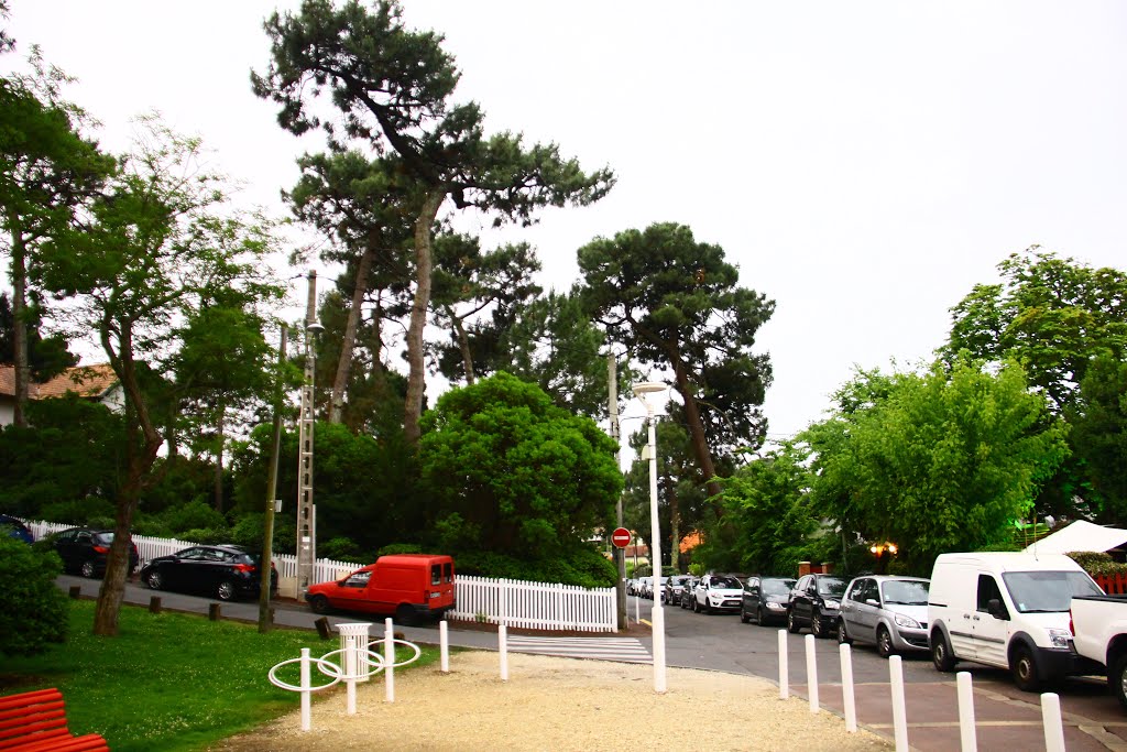 Avenue Louis Garros by Roman Tcymbal