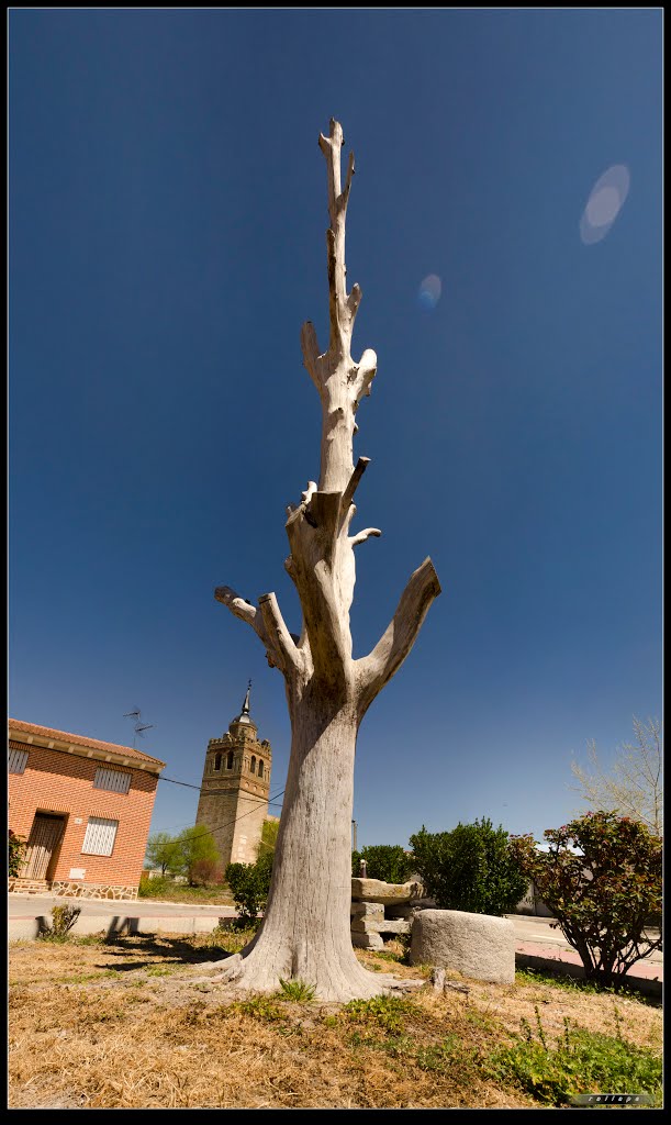 PURAS, VALLADOLID by rallape