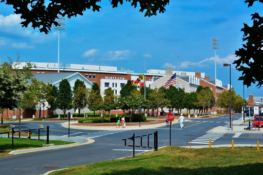 Near the Stadium by Addison Likins