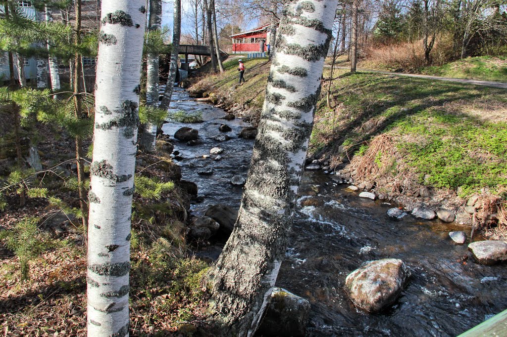 Rapids, Finland by svetlana dorokhova