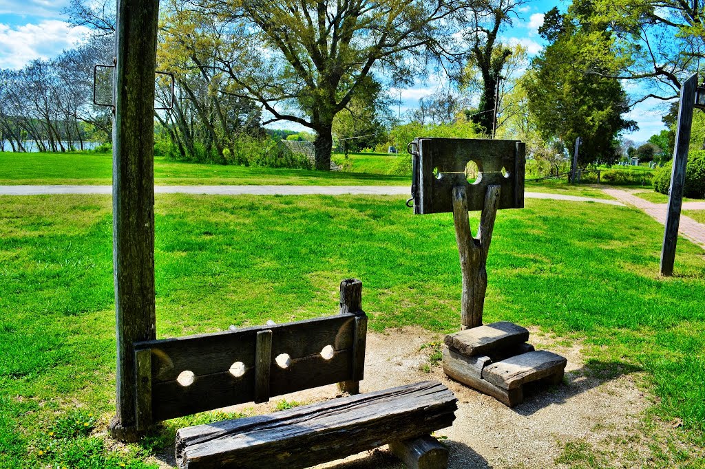 The Stocks by Addison Likins