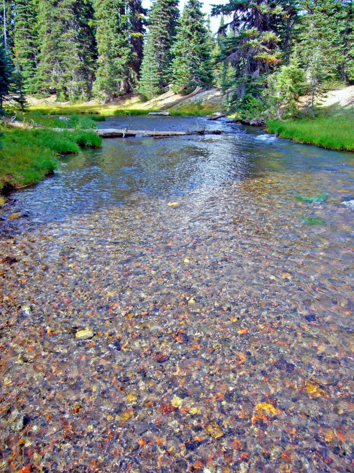 Middle Fall Creek by greg1356