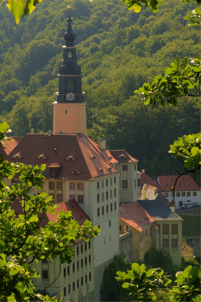 Schloss-Weesenstein by chein55