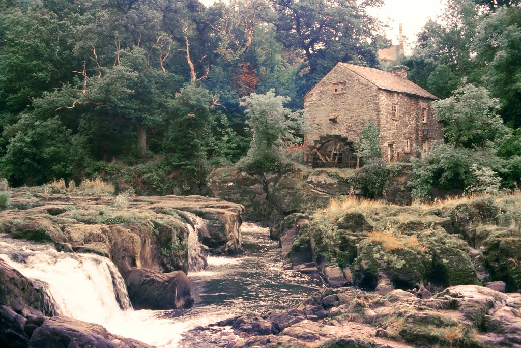 Water Falls and Water Mill by Mike Rice