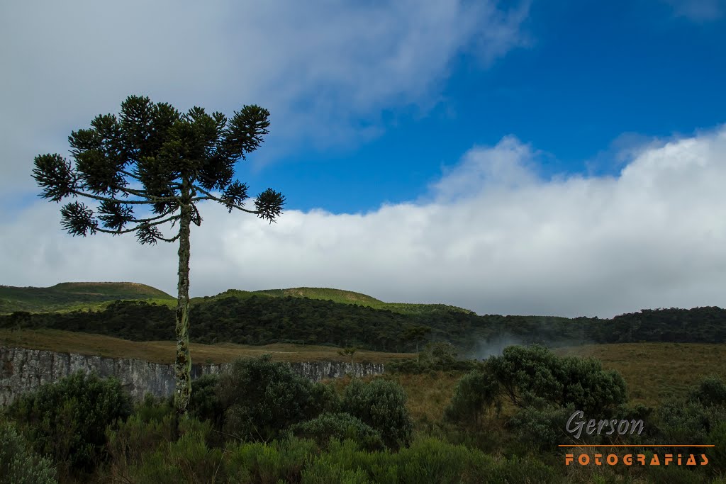 Orleans - State of Santa Catarina, Brazil by Gerson Soares