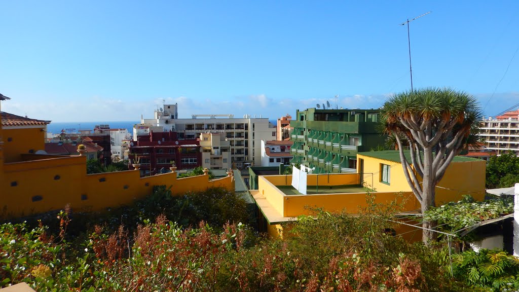 38400 Puerto de la Cruz, Santa Cruz de Tenerife, Spain by Rafał Kucharczuk