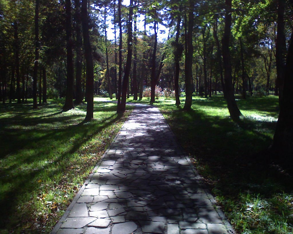 Ivano-Frankivsk, Ivano-Frankivs'ka oblast, Ukraine by Василь Михайлович