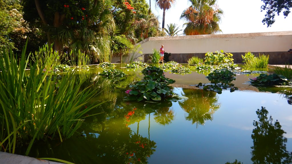 38400 Puerto de la Cruz, Santa Cruz de Tenerife, Spain by Rafał Kucharczuk