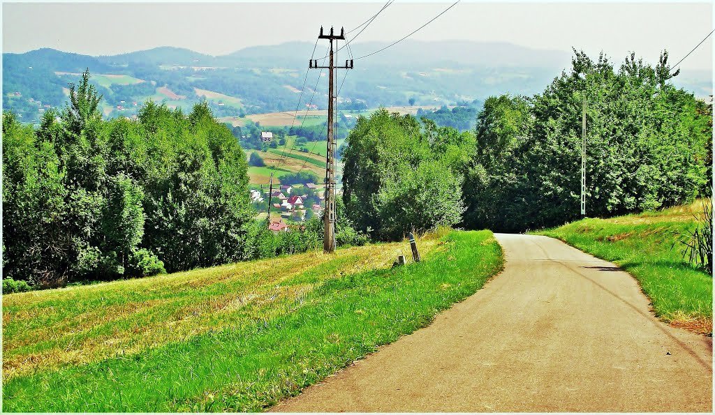 Widok z zielonego szlaku na Pogórze Ciężkowickie. by MIRAS