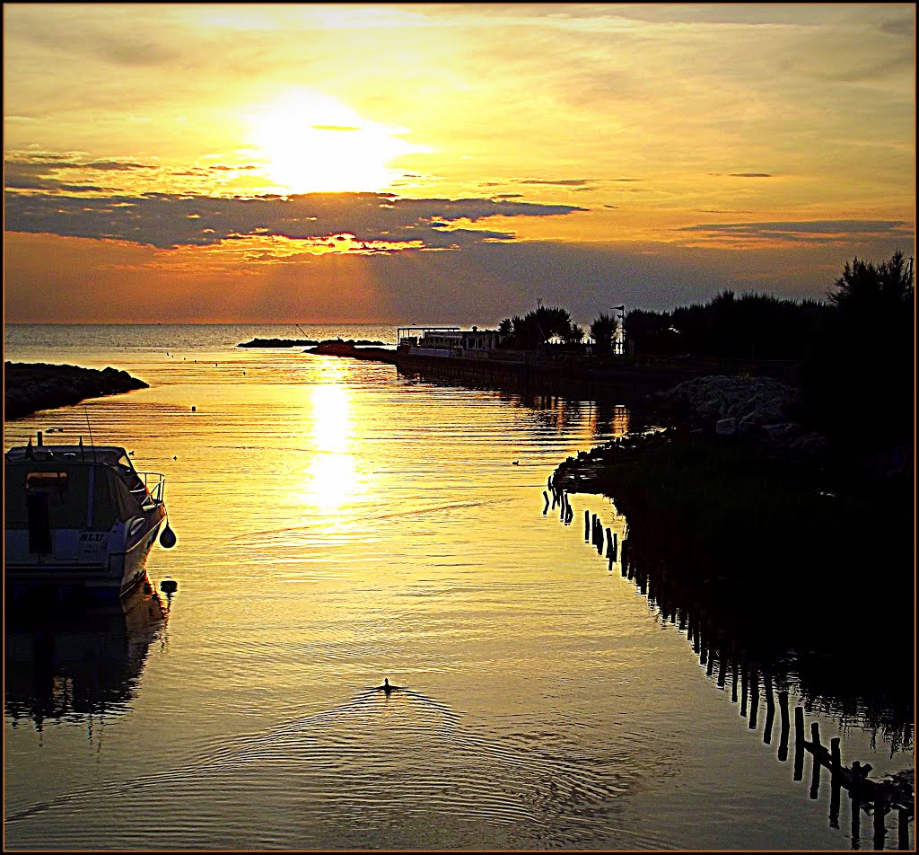 PANORAMIO FOREVER...SUNRISE...The duck swims towards the sea, the colors of the sky and cover dawn. by gianluigi bonomini