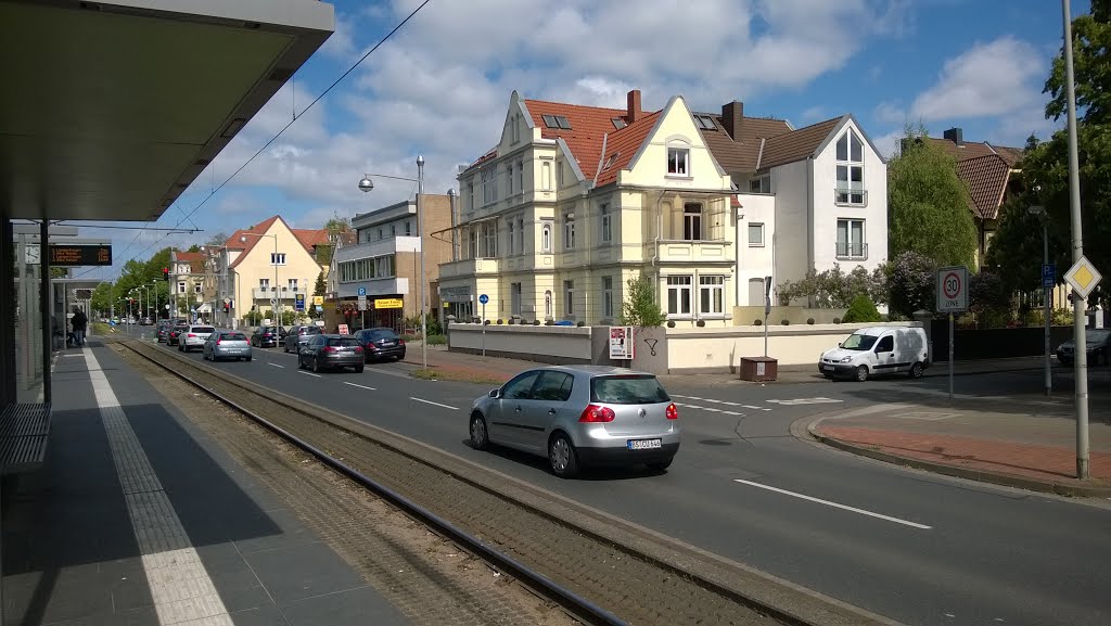 Waldhausen, Hannover, Germany by Carsten csc