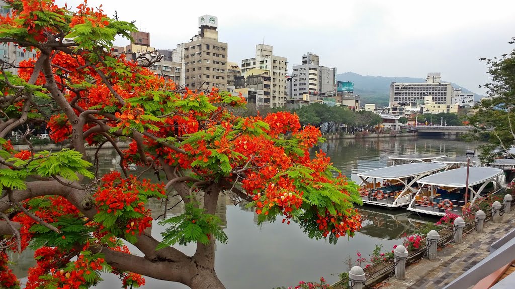 Kaohsiung, Gushan District, Kaohsiung City, Taiwan by chienhaw