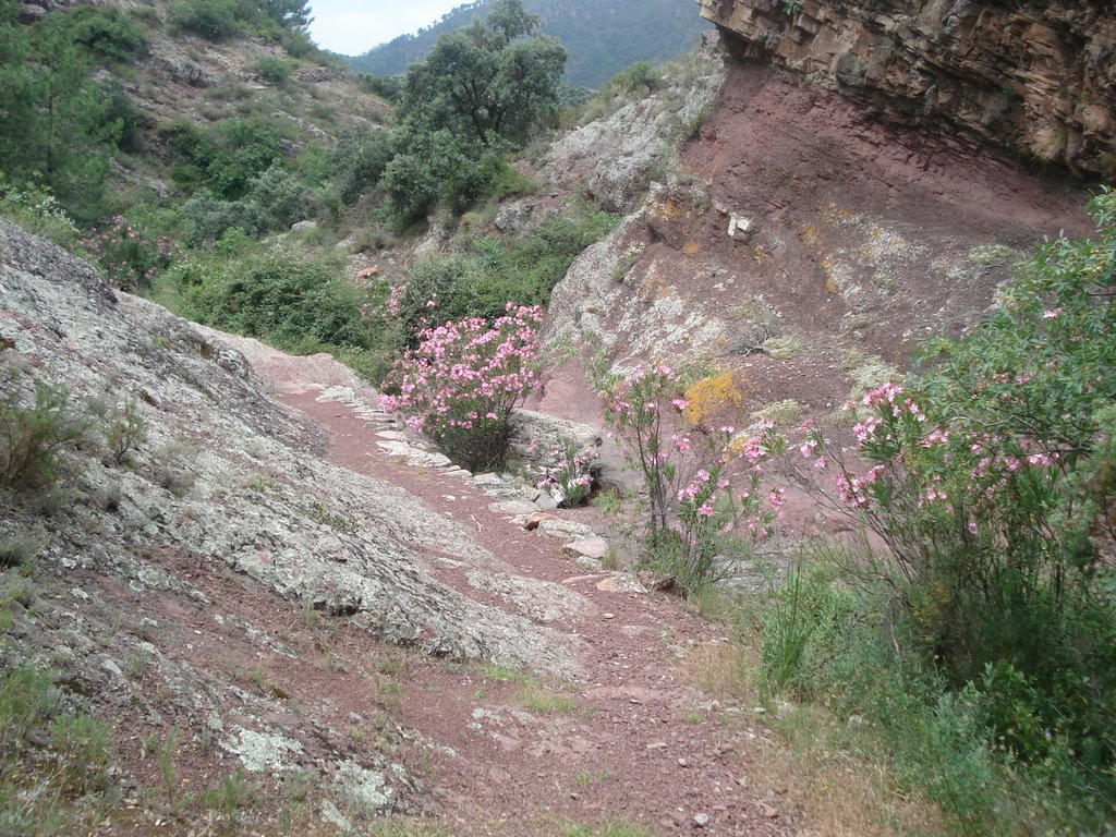 Barranco de Agua negra by Onedin