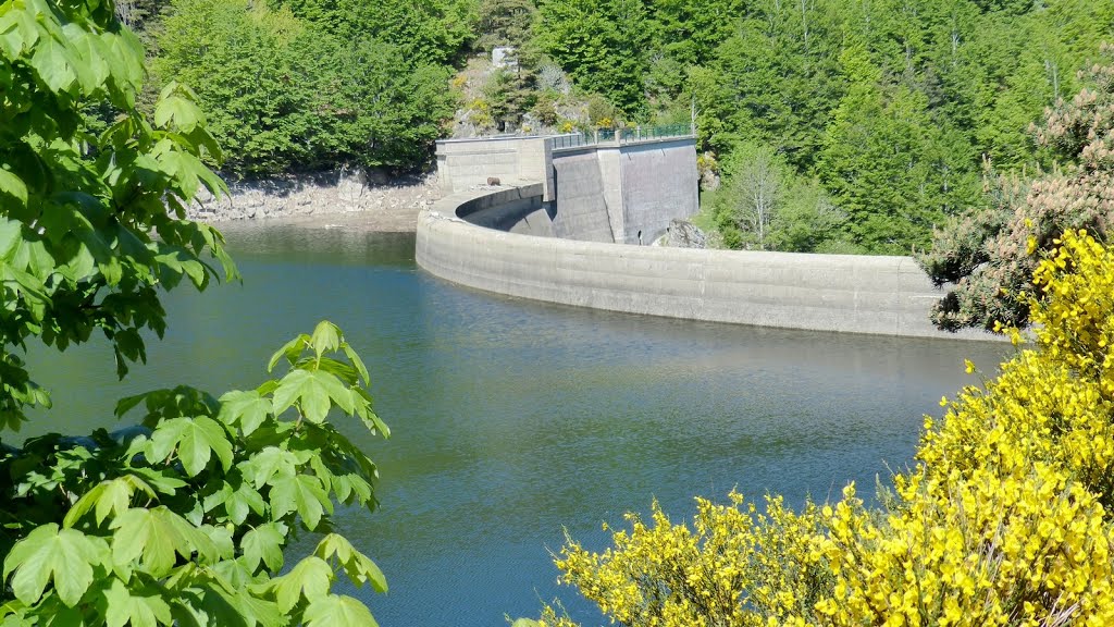 Cros-de-Géorand - Barrage EDF sur la Loire by epaulard59