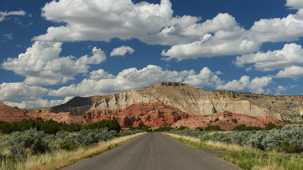 Kane County, UT, USA by Ronald Bauer