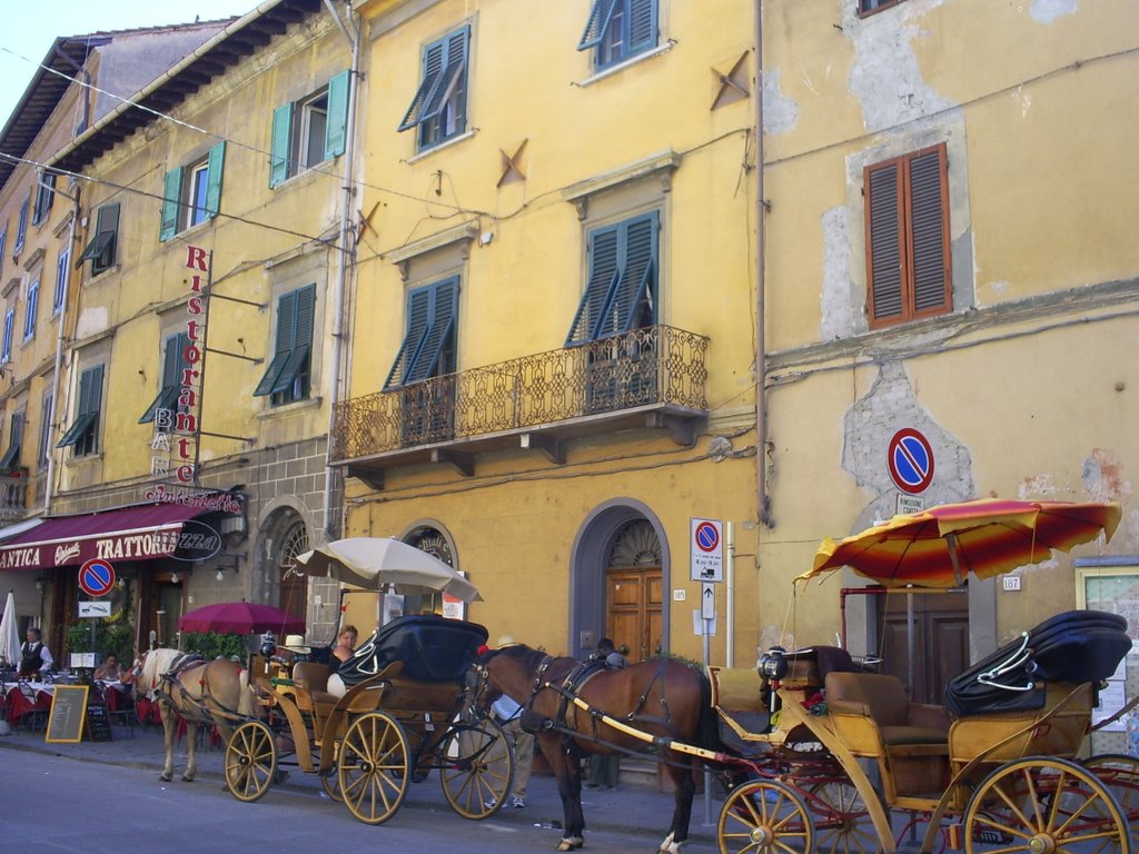 Pisa, Italy - June 08 by Helen Davidson, Weymouth, UK