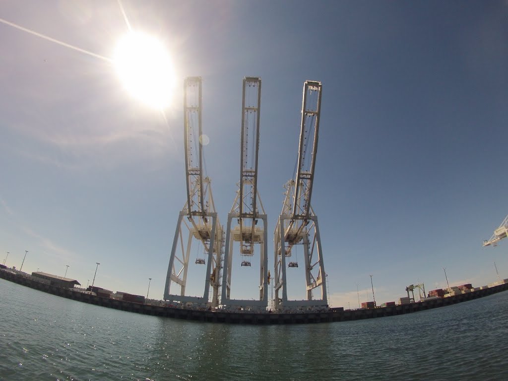 Towering cranes at the Port of Seattle by MosquitoFood