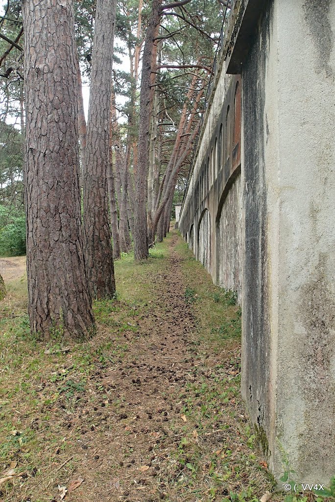 91490 Milly-la-Forêt, France by Claude Wax