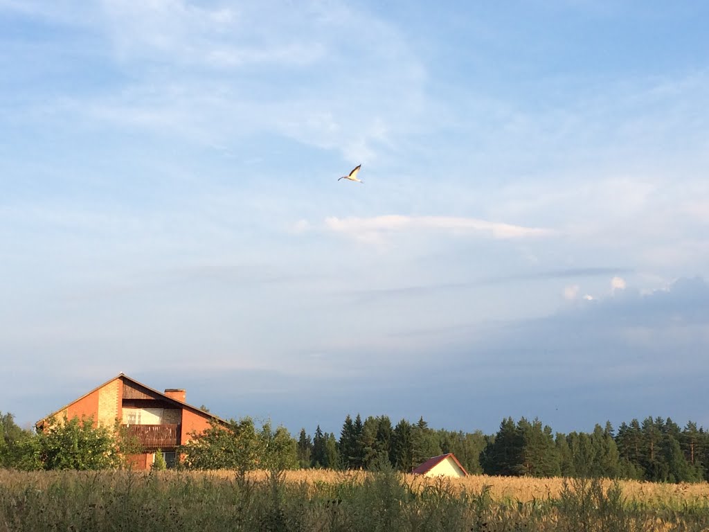 Ezernieku pagasts, Latvia by axlceb