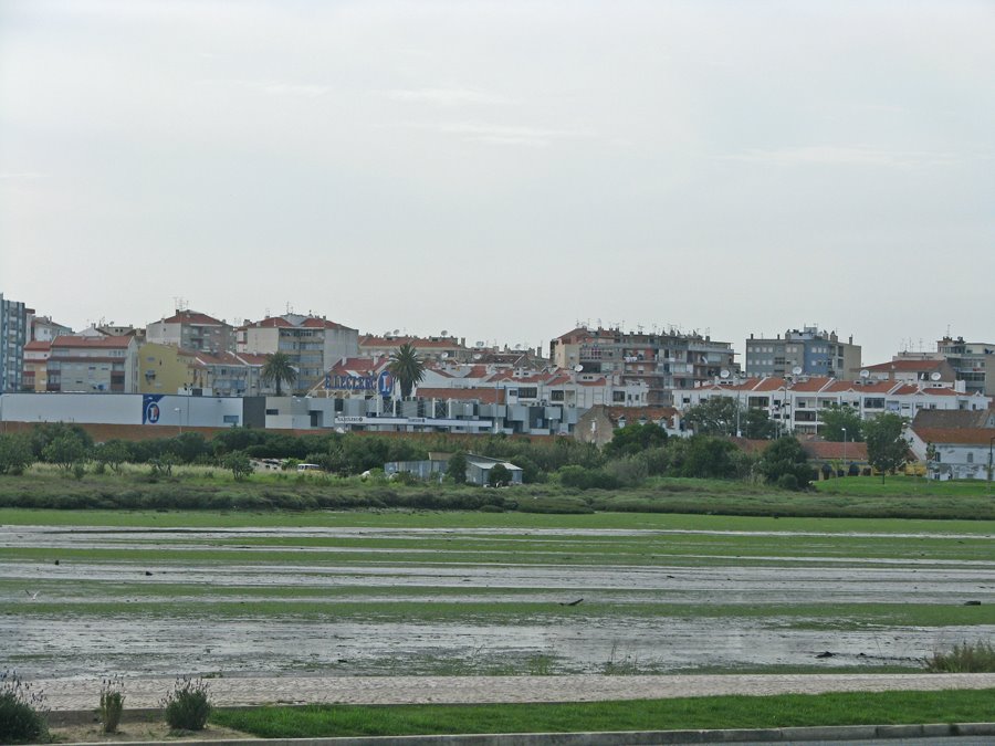 Vista para o Centro da Amora by Barragon