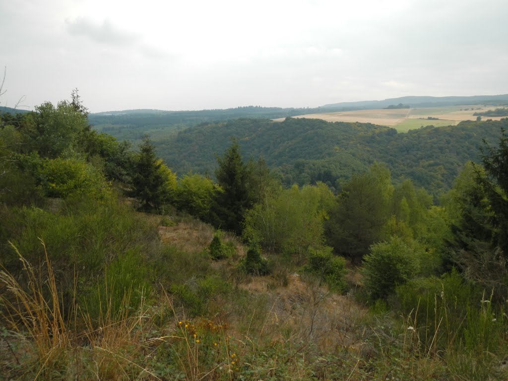 Bundenbach, Germany by Timo Risch