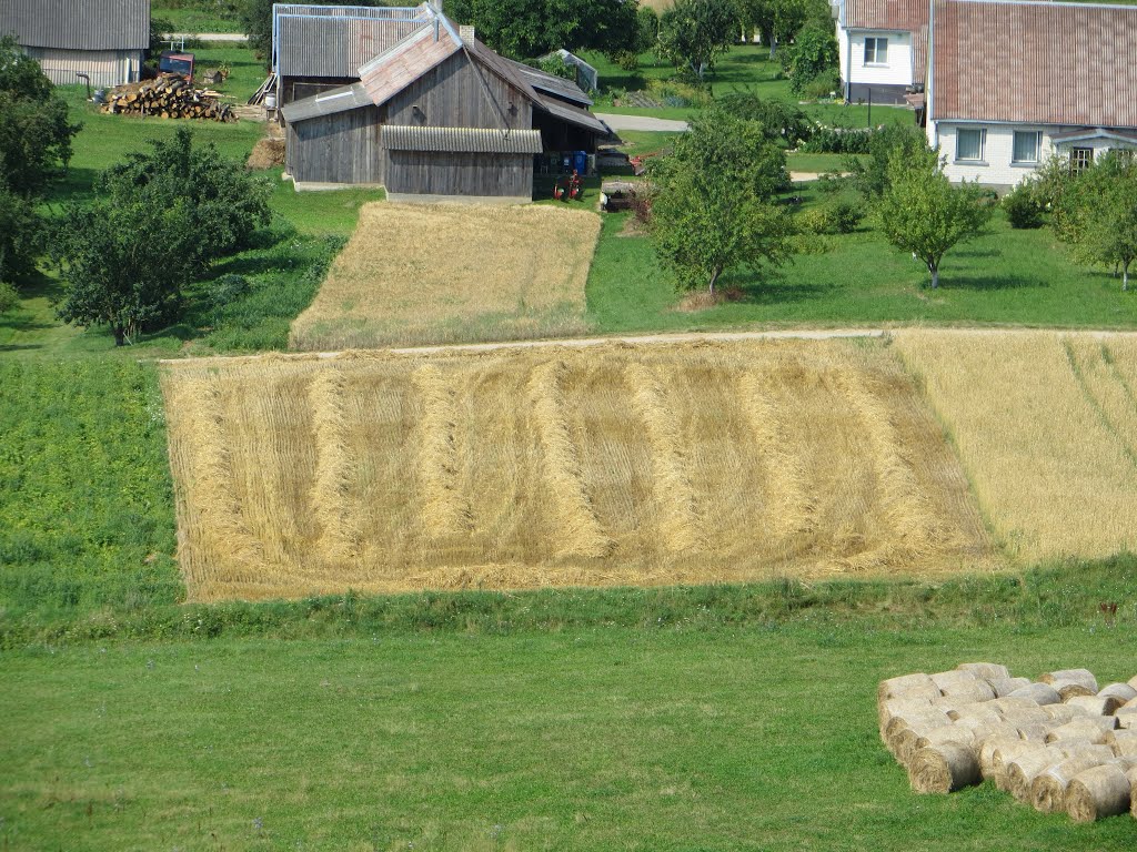 Veisiejų sen., Lithuania by VietovesLt