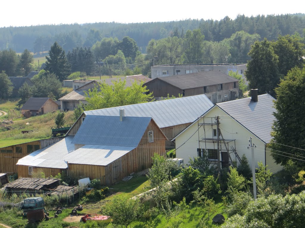 Avižieniai, Lithuania by VietovesLt