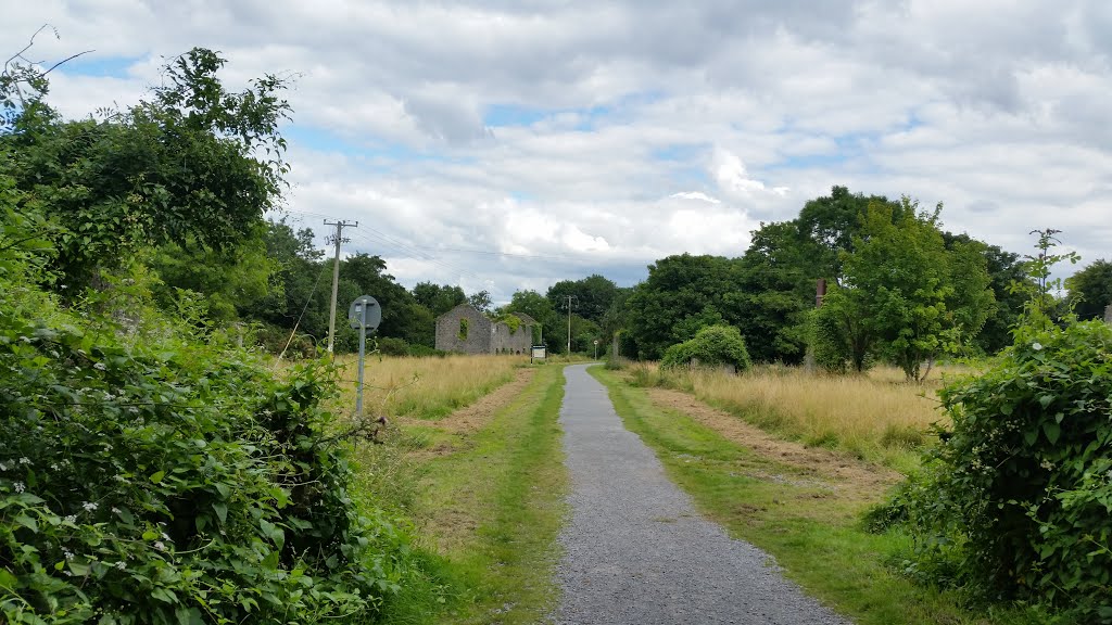 Straight path at Ballincollig regional park by Dennis Sheehan