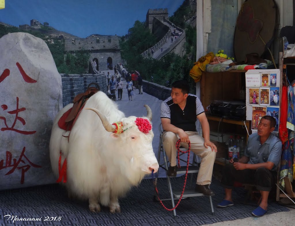 La Muraille Pekin by Mourad MANAMANI